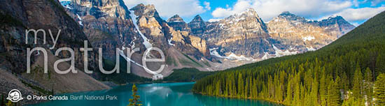 PC_Banner_1_Nature_ENG_web
